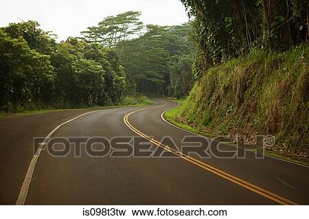 Hawaiian road View Large Photo Image Stock Photo - Hawaiian road. Fotosearch