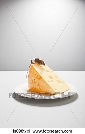 Stock Image - Mouse and cheese on plate. Fotosearch
