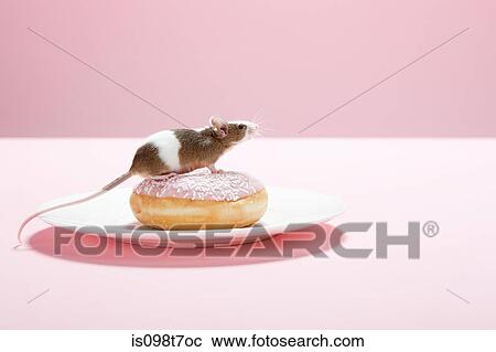 Stock Image - Mouse and doughnut on plate. Fotosearch