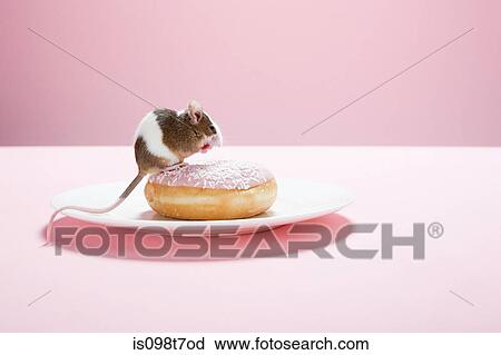 Stock Image - Mouse and doughnut on plate. Fotosearch