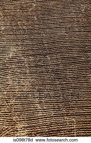 Ploughed fields on west bank of nile egypt View Large Photo Image Stock Image - Ploughed fields on west bank of nile egypt. Fotosearch
