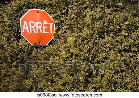 Stock Photography - Stop sign in hedge. Fotosearch