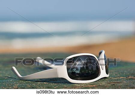 Sunglasses reflecting palm trees View Large Photo Image Stock Photograph - Sunglasses reflecting palm trees. Fotosearch