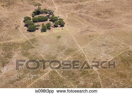 Trees in plain landscape View Large Photo Image Stock Photography - Trees in plain landscape. Fotosearch