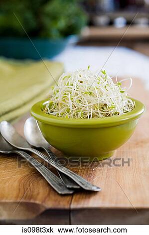 Stock Image - Alfalfa sprouts. Fotosearch