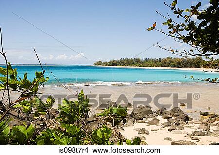Picture - Beach in kauai. Fotosearch