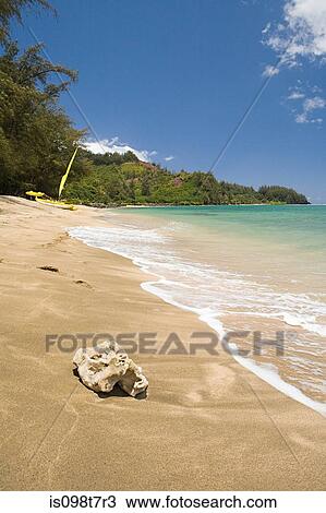 Beach in kauai View Large Photo Image Stock Image - Beach in kauai. Fotosearch