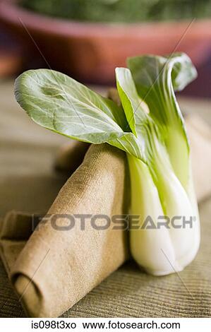 Bok choy View Large Photo Image Picture - Bok choy. Fotosearch