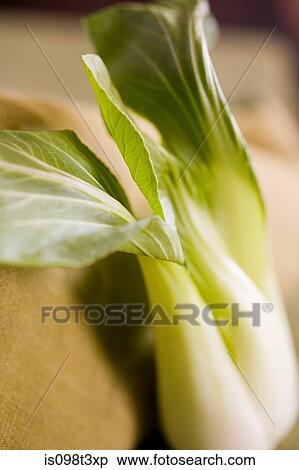 Bok choy View Large Photo Image Stock Photography - Bok choy. Fotosearch