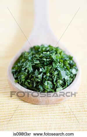 Chopped cilantro View Large Photo Image Stock Photography - Chopped cilantro. Fotosearch