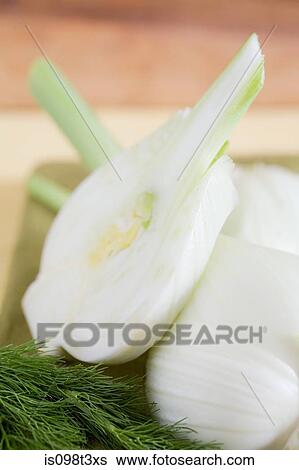 Stock Photograph - Fennel bulbs. Fotosearch