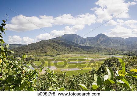 Stock Photo - Hanalei valley in kauai. Fotosearch