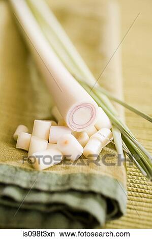 Picture - Lemon grass. Fotosearch