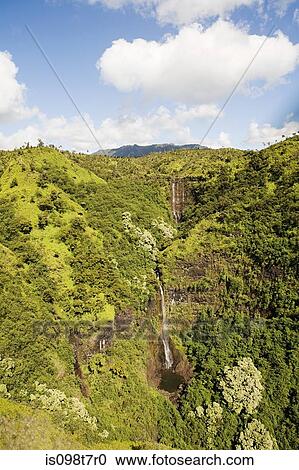 Waterfall at kauai national park View Large Photo Image Stock Image - Waterfall at kauai national park. Fotosearch
