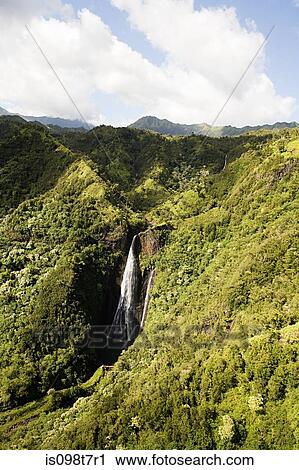 Waterfall at kauai national park View Large Photo Image Stock Image - Waterfall at kauai national park. Fotosearch