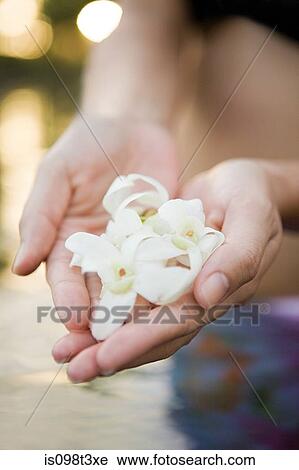 Woman holding flowers View Large Photo Image Stock Image - Woman holding flowers. Fotosearch