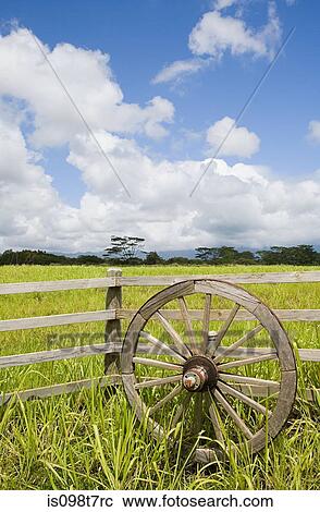 Wooden wheel and field in kauai, hawaii View Large Photo Image Stock Image - Wooden wheel and field in kauai, hawaii. Fotosearch