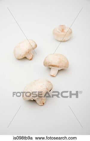Four mushrooms View Large Photo Image Stock Image - Four mushrooms. Fotosearch