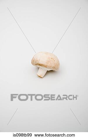 One mushroom View Large Photo Image Stock Photo - One mushroom. Fotosearch