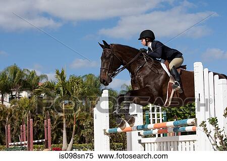 Stock Photography - Horse jumping event.. Fotosearch