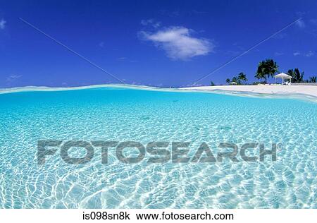 Over/under in shallow water. View Large Photo Image Stock Image - Over/under in shallow water.. Fotosearch