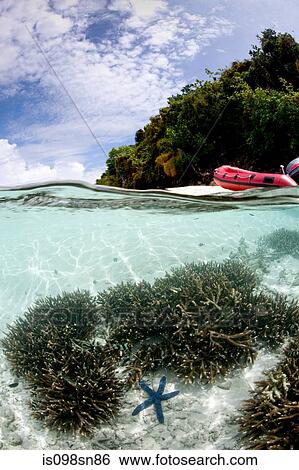 Over/under with island. View Large Photo Image Stock Photograph - Over/under with island.. Fotosearch