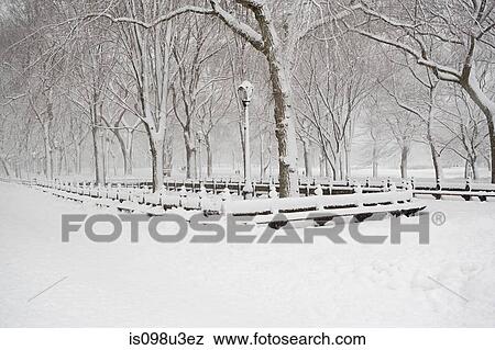 Park covered in snow View Large Photo Image Stock Photo - Park covered in snow. Fotosearch