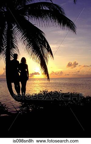 Silhouette of tree and couple. View Large Photo Image Stock Image - Silhouette of tree and couple.. Fotosearch