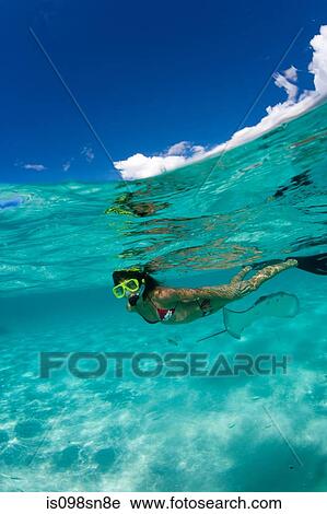 Snorkeler in shallow water. View Large Photo Image Stock Image - Snorkeler in shallow water.. Fotosearch