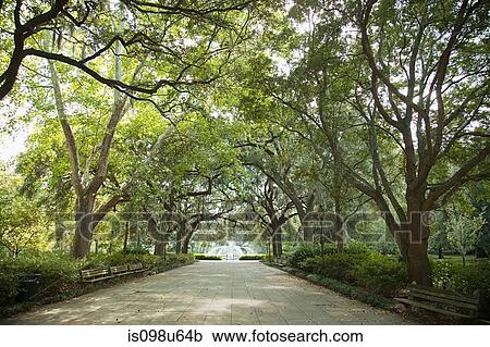 USA, georgia, savannah, forsyth park View Large Photo Image Stock Image - USA, georgia, savannah, forsyth park. Fotosearch