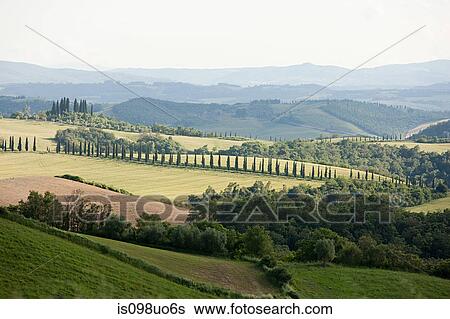 Landscape near Siena, Tuscany, Italy View Large Photo Image Stock Photograph - Landscape near Siena, Tuscany, Italy. Fotosearch