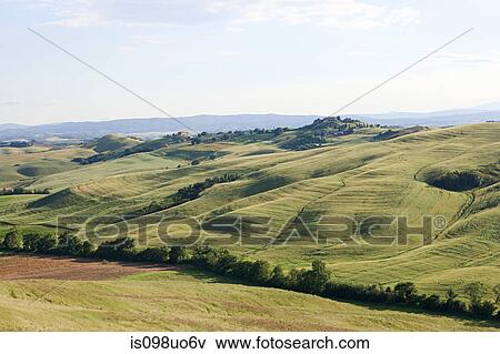 Rolling landscape near Siena, Tuscany, Italy View Large Photo Image Stock Photo - Rolling landscape near Siena, Tuscany, Italy. Fotosearch