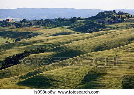 Rolling landscape near Siena, Tuscany, Italy View Large Photo Image Stock Photo - Rolling landscape near Siena, Tuscany, Italy. Fotosearch