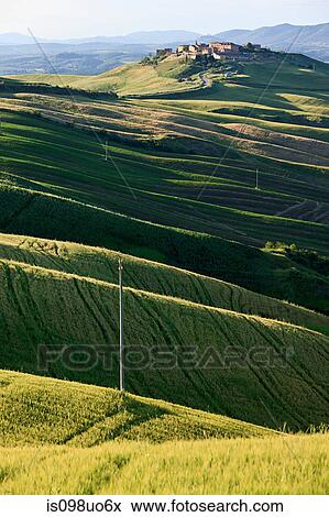 Rolling landscape near Siena, Tuscany, Italy View Large Photo Image Stock Photo - Rolling landscape near Siena, Tuscany, Italy. Fotosearch