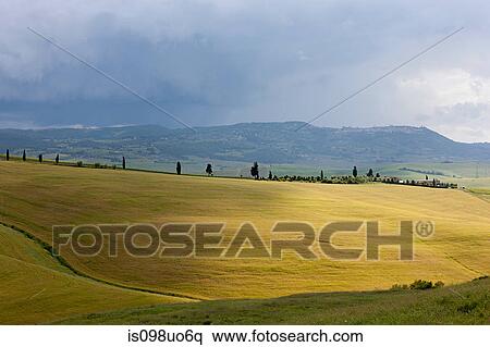 Rural landscape of Val d'Orcia, Italy View Large Photo Image Stock Photography - Rural landscape of Val d'Orcia, Italy. Fotosearch