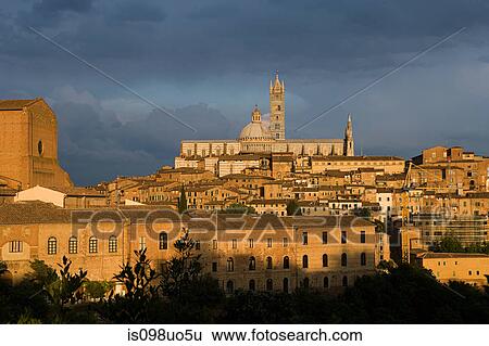 Santa Maria Assunta cathedral, Siena, Italy View Large Photo Image Stock Photograph - Santa Maria Assunta cathedral, Siena, Italy. Fotosearch
