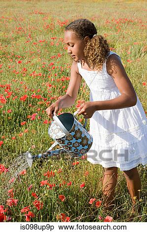 Young girl watering poppy field with watering can View Large Photo Image Stock Photography - Young girl watering poppy field with watering can. Fotosearch
