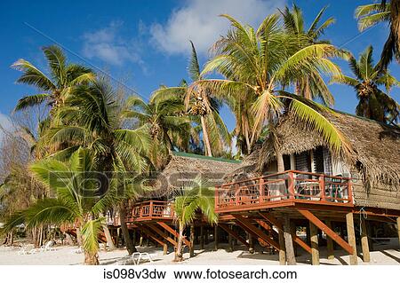 Beach huts and palm trees, Cook Islands View Large Photo Image Stock Photo - Beach huts and palm trees, Cook Islands. Fotosearch