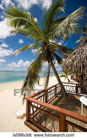 Stock Photograph - Beach huts and palm trees, Cook Islands. Fotosearch