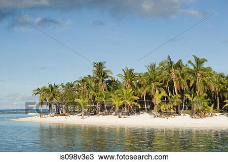 Stock Image - Beach with palm trees. Fotosearch