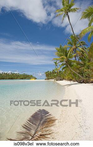Beach with palm trees View Large Photo Image Stock Image - Beach with palm trees. Fotosearch