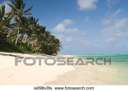 Beach with palm trees View Large Photo Image Stock Image - Beach with palm trees. Fotosearch