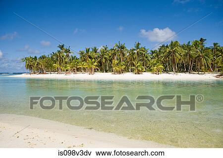 Stock Photo - Beach with palm trees. Fotosearch