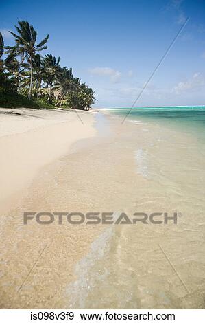 Beach with palm trees View Large Photo Image Stock Photo - Beach with palm trees. Fotosearch