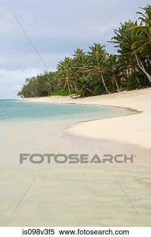 Beach with palm trees View Large Photo Image Stock Photography - Beach with palm trees. Fotosearch