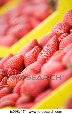 Picture - Fresh strawberries. Fotosearch