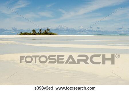 Island in South Pacific Ocean with beach and palm trees View Large Photo Image Stock Image - Island in South Pacific Ocean with beach and palm trees. Fotosearch
