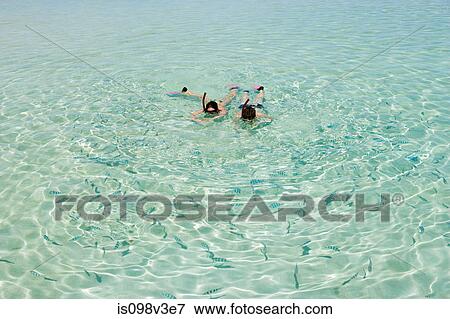 Stock Photo - Mid adult couple snorkeling and looking at fish. Fotosearch