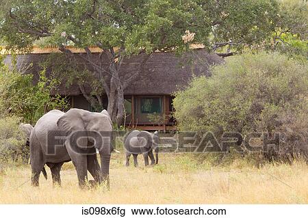 Civilization amid Wildlife View Large Photo Image Stock Image - Civilization amid Wildlife. Fotosearch