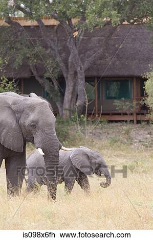 Civilization amid Wildlife View Large Photo Image Stock Image - Civilization amid Wildlife. Fotosearch